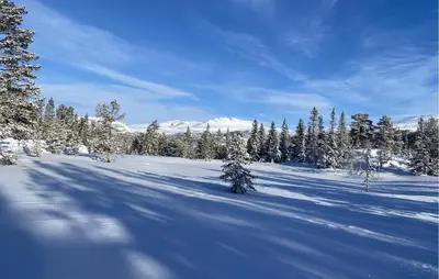 a snow covered field with trees and mountains in the background at Amazing Home In Eggedal With Sauna in Eggedal