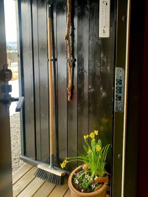 a plant in a pot sitting next to a door at Modern Cabin With Views Of Hallingskarvet in Torpo