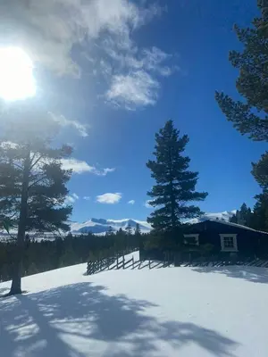 a snow covered field with trees and a house at Log Cabin With Views Of Rondane Mountains in Folldal
