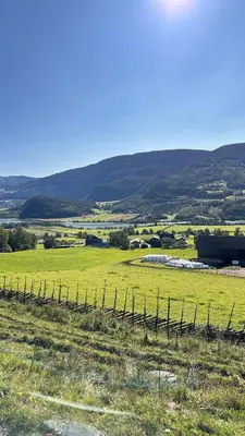a fence in the middle of a green field at Cozy house on Gryttingshaugen, near Vinstra in Sør-Fron