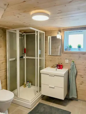 a bathroom with a shower and a toilet and a sink at Mountain Cabin With Glacier Views in Norheimsund