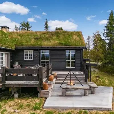 Spacious Family Cabin In Western Golsfjellet
