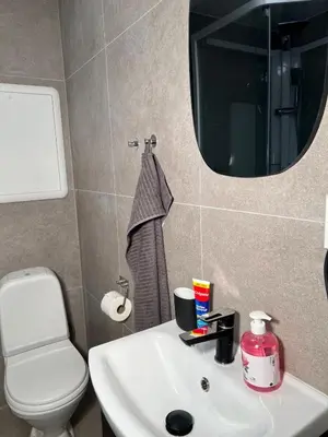 a bathroom with a sink and a toilet and a mirror at Cozy and modern studio house in Trondheim