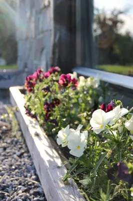 a flower garden with red and white flowers at Idyllic house with views - close to nature in Nydalen
