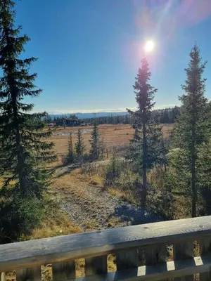 a view of a field with trees and the sun at Traditional Family Cabin Near Rabalen in Bagn