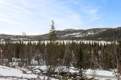 a view of a snow covered forest with a tree at Hedda Hedalsfjellet - 3 bedroom cabin with a lovely view in Hedalen