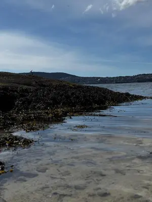 a body of water with a rocky shoreline at Familyhome for 8 people - 4 bedrooms - 10min from Bergen city center in Bergen