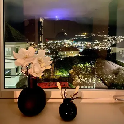 two black vases with flowers on a window sill at Private room with a view and garden - 12 min from the city center in Bergen