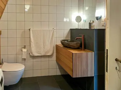 a bathroom with a sink and a toilet at Historic Cabin By Lærdal River in Tønjum