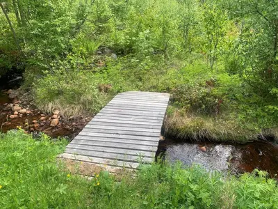 a wooden bridge over a stream in a forest at Beautiful place among forests and fields in a good old style in Eggedal
