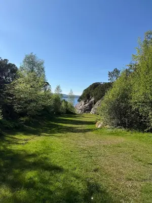 a grassy field with trees and water in the background at Villa Vaaganeset in Lii