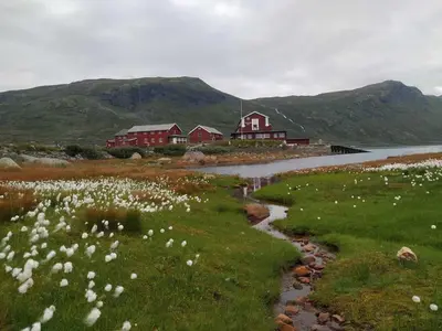 a field of flowers with houses and a river at Ski-In, Ski-Out apartment at Filefjell in Tyinkrysset