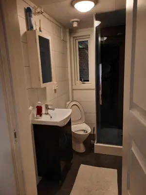 a small bathroom with a toilet and a sink at Holiday Home Garnås in Nesbyen