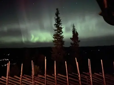 two trees and a fence with the northern lights at Skarvegløtt Ski in Ski out in Nesbyen