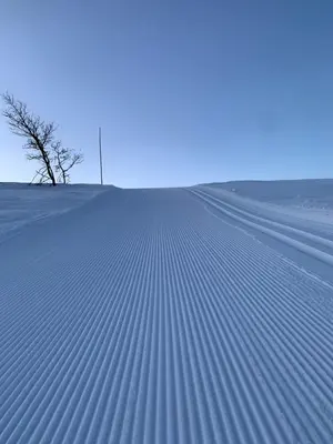 a snow covered field with a tree in the distance at Skarvegløtt Ski in Ski out in Nesbyen