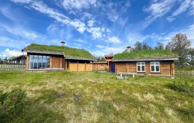 a log house with a grass roof at Beautiful Home In Røn With Sauna in Ron