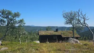 a house with a grass roof on a hill at Authentic Secluded Mountain Cabin in Telemark with Panoramic Views