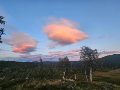 a cloudy sky with trees in a field at Authentic Secluded Mountain Cabin in Telemark with Panoramic Views