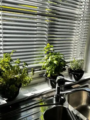 a kitchen sink with three potted plants in a window at Kikays Hygge in Bysheim
