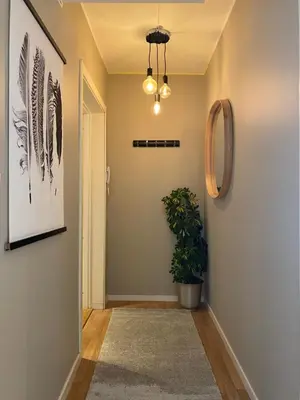 a hallway with a potted plant and a light fixture at Spacious Modern Apartment City center in Bergen
