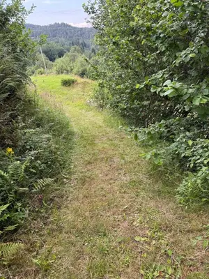 a dirt road between two trees in a field at Fantastic cabin in the woods & boat for rental or 2 days free boat on 7 days stay