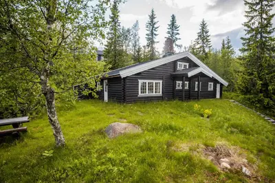 a cabin in the middle of a grassy yard with a bench at Trysilfjellet Sør 480 in Trysil