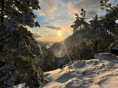 a snow covered slope with trees and the sun in the distance at Haus Harald in Tysnes
