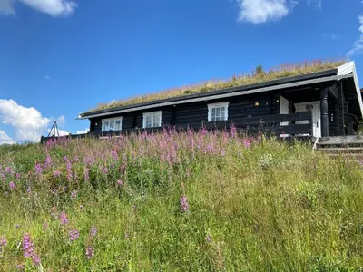 a house on top of a hill with a field of flowers at Hytte med panoramautsikt i Uvdal in Nørdstebø