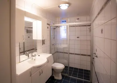 a bathroom with a sink and a toilet and a shower at Quiet place near city centre and the mountains in Bergen