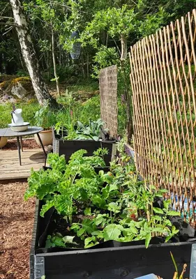 a garden with vegetables in a black box next to a fence at WOOD HOUSE GARDEN Lakeview Mjøsa -30 min OSL