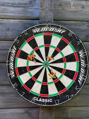 a dartboard is hanging on a wooden wall at WOOD HOUSE GARDEN Lakeview Mjøsa -30 min OSL