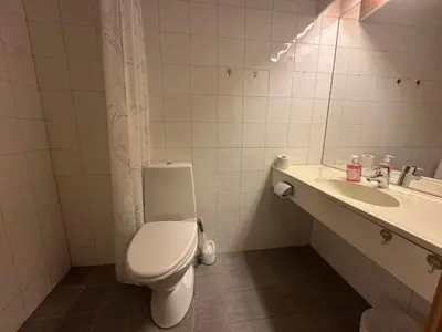 a bathroom with a toilet and a sink at Bjorliheimen Fjellhotell-Hotellrom in Bjorli