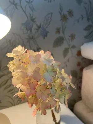 a bouquet of flowers in a vase on a table at Cozy older house in scenic surroundings in Stord