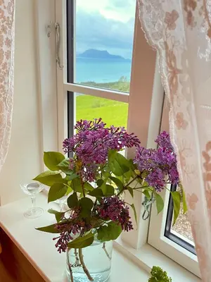 a vase with purple flowers sitting on a window sill at Cozy older house in scenic surroundings in Stord