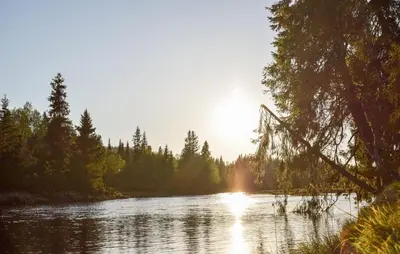 a river with the sun reflecting on the water at Beautiful Home In Sjusjøen With Sauna in Sjusjøen