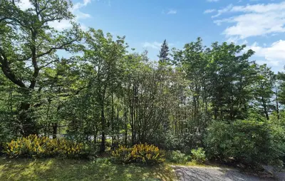 a garden with trees and flowers on a field at Lovely Home In Masfjordnes With Wifi in Masfjorden