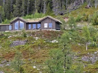 a house with a grass roof on top of a hill at Ny hytte med panoramautsikt in Hjartdal