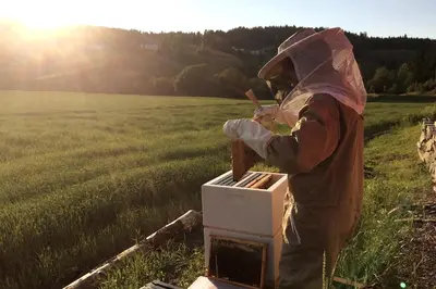a person standing in a bee box in a field at Gårdsleilighet in Verdal