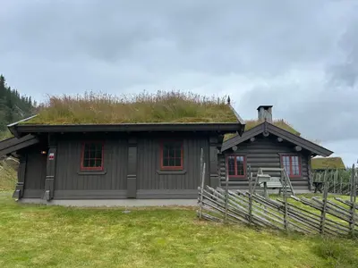 a house with a grass roof with a grass at Sleepover in the mountains in Hjartdal