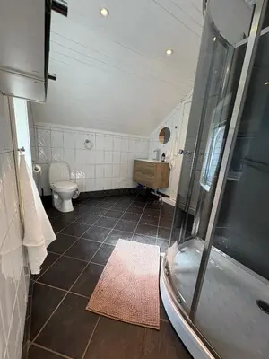 a bathroom with a shower and a sink and a toilet at In the middle of Bergen City in a real Bergenshus from the 18th Century in Bergen