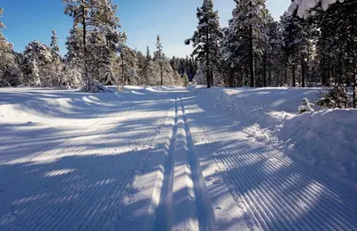 a snow covered road with trees and their shadows at Spacious 3-Bedroom Apartment with Balcony and Free Parking Orkland near Trondheim in Fannrem