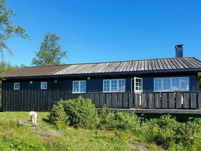 a blue house with a cat standing in front of it at Mountain Cabin With Views Over Storevann in Hemsedal