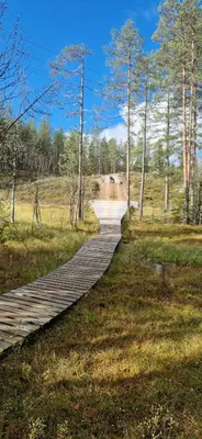 a wooden boardwalk in the middle of a field at New Cabin With Panoramic Views Of Lake Osen