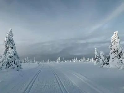 a snow covered road with snow covered trees and snow at Modern Cabin With Views Of Trysil Mountain in Trysil