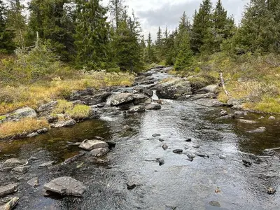 a stream of water with rocks and trees on a hill at Modern Cabin With Views Of Skeikampen in Svingvoll