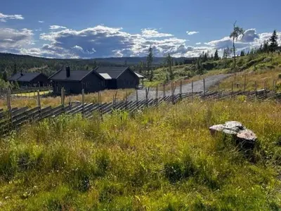 a field of tall grass with houses in the background at Cabin With Views Over Hafjell And Gausdal in Svingvoll