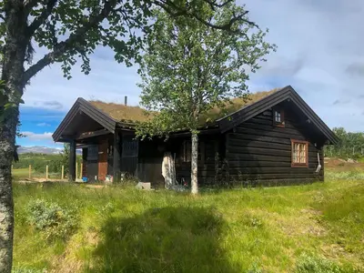 a log cabin with a tree in front of it at Traditional Log Cabin At Reineskarvet in Ål