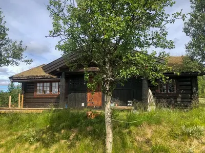 a log house with a tree in front of it at Traditional Log Cabin At Reineskarvet in Ål