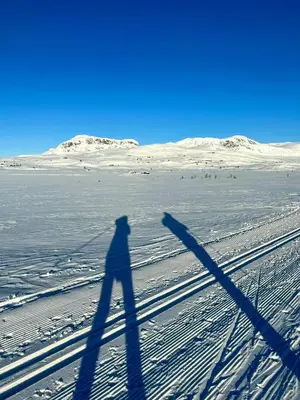 a shadow of a person walking in the snow at Traditional Log Cabin At Reineskarvet in Ål