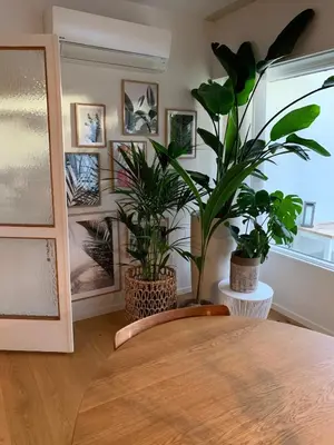 a room with two potted plants on a table at Large Architect Designed Home in City Centre in Hamar